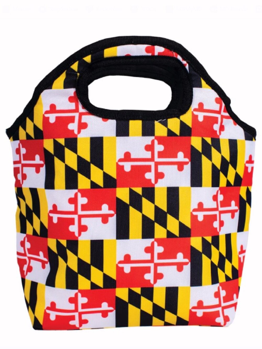 Maryland Flag Hot/Cold Insulated Carryall Tote Bag - NEW Fast Ship